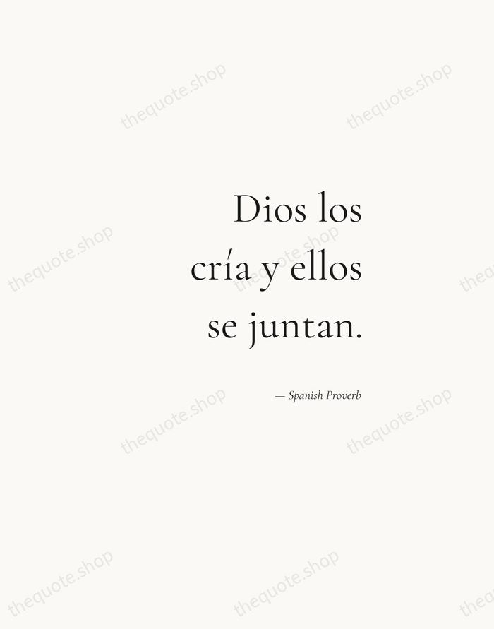 Dios los cría y ellos se juntan. — Spanish Proverb — Soft Serif Right