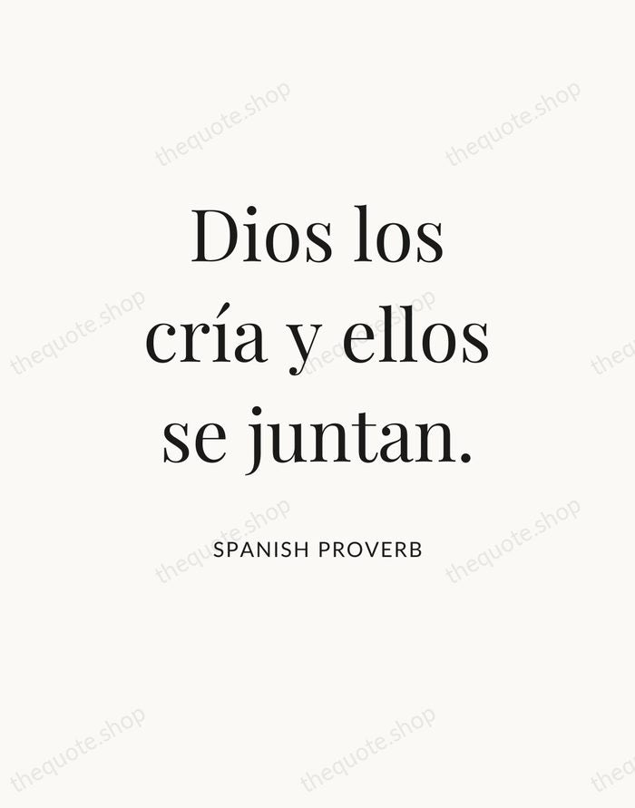 Dios los cría y ellos se juntan. — Spanish Proverb — Statement Serif
