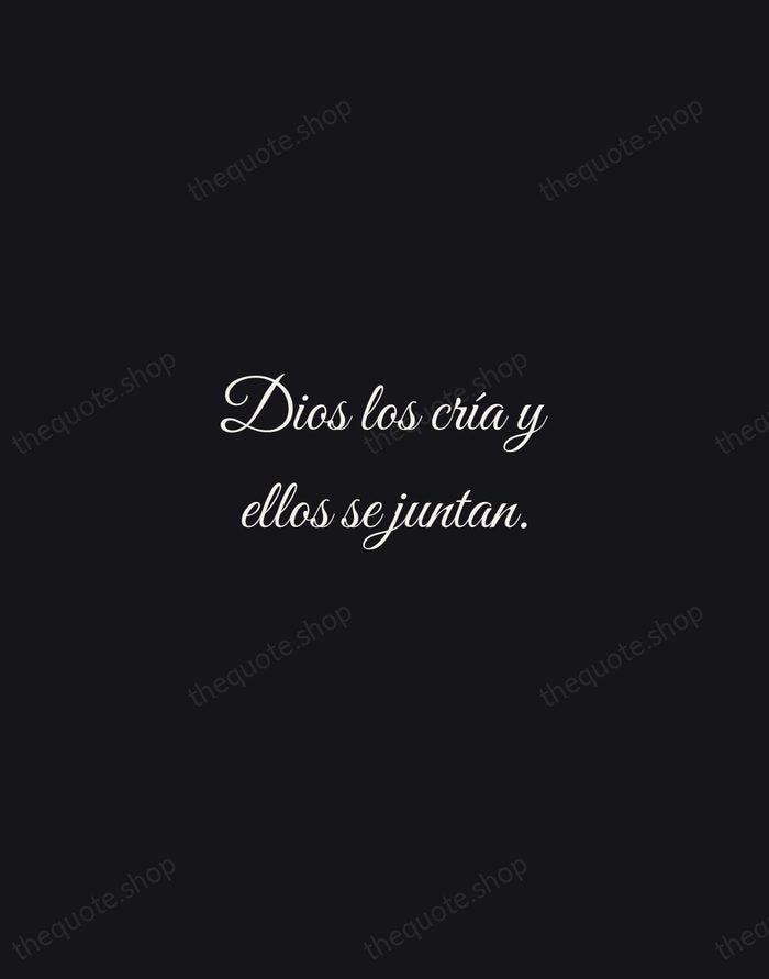 Dios los cría y ellos se juntan. — Spanish Proverb — Night Script