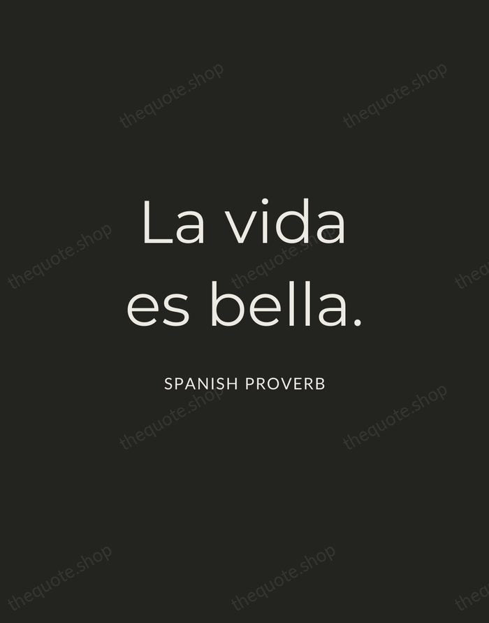 La vida es bella. — Spanish Proverb — Charcoal Sans