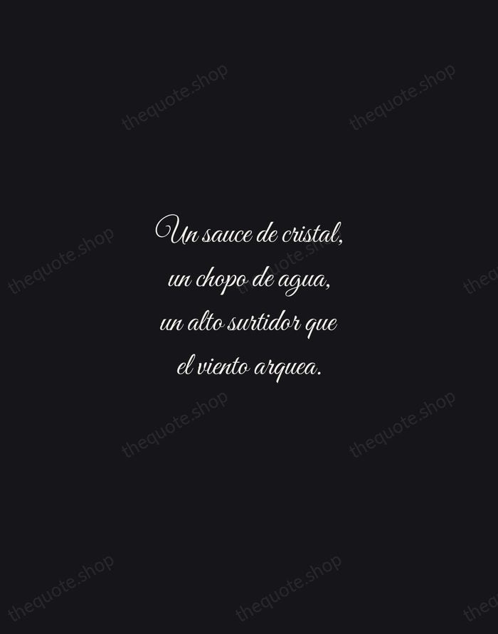 Un sauce de cristal, un chopo de agua, un alto surtidor que… — Octavio Paz — Night Script