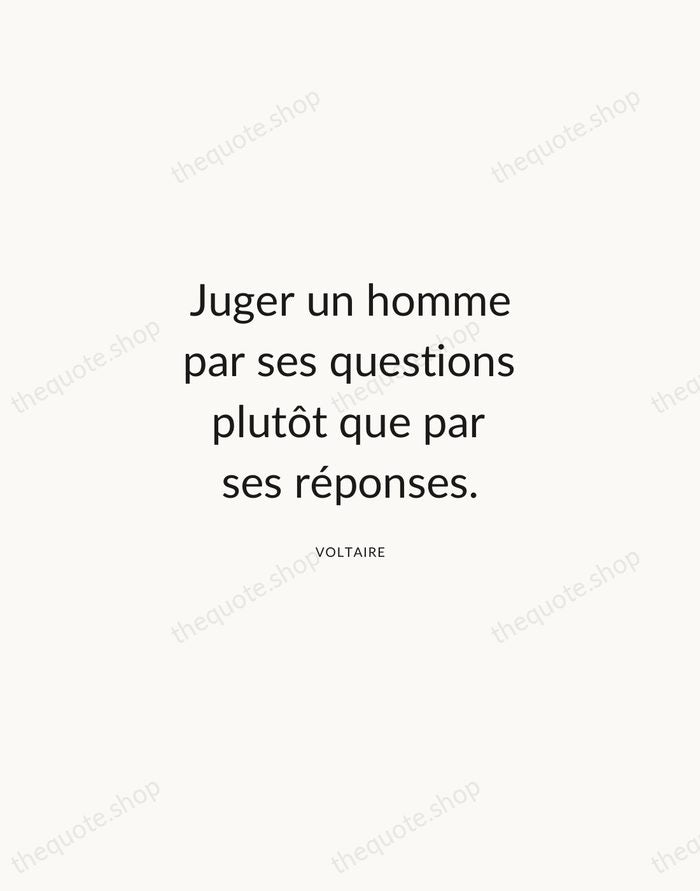 Juger un homme par ses questions plutôt que par ses réponses. — Voltaire — Modern Sans Calm