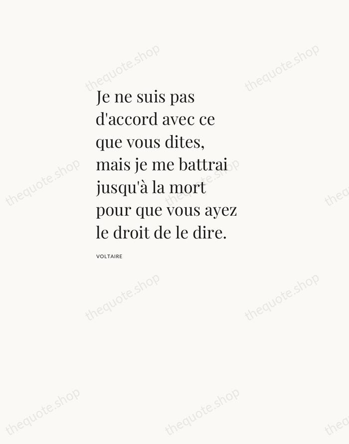 Je ne suis pas d'accord avec ce que vous dites, mais je… — Voltaire — Asymmetric Left