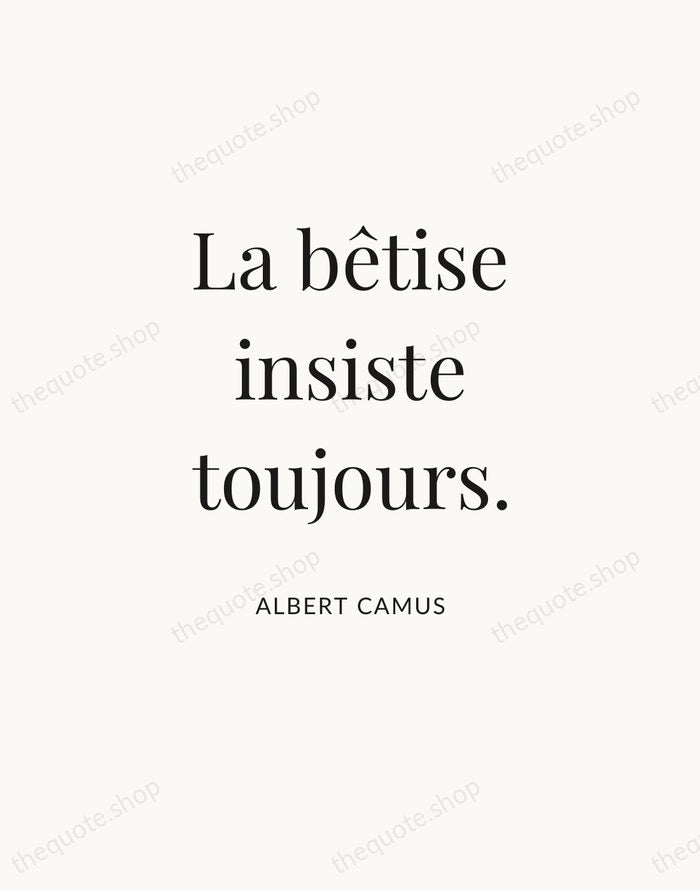 La bêtise insiste toujours. — Albert Camus — Statement Serif