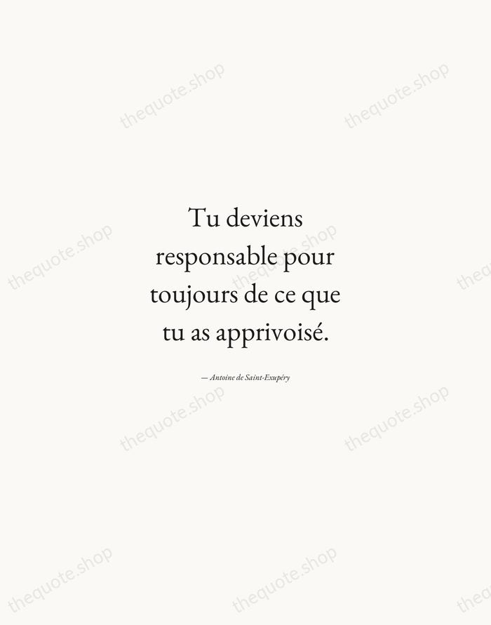 Tu deviens responsable pour toujours de ce que tu as apprivoisé. — Antoine de Saint-Exupéry — Quiet Garamond