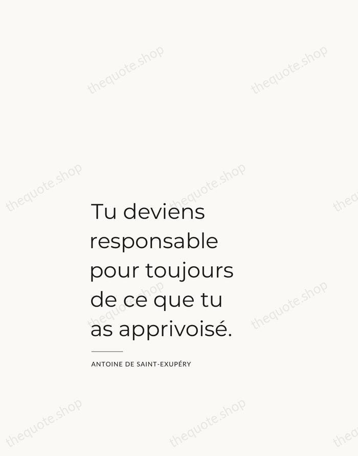 Tu deviens responsable pour toujours de ce que tu as apprivoisé. — Antoine de Saint-Exupéry — Studio Left