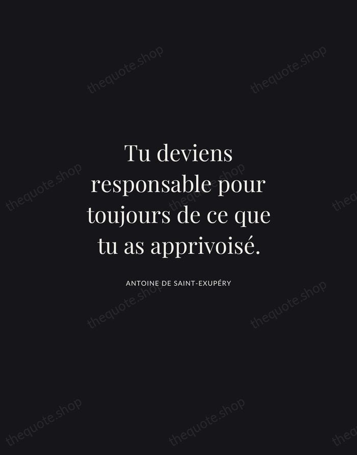 Tu deviens responsable pour toujours de ce que tu as apprivoisé. — Antoine de Saint-Exupéry | Printable Wall Art — Midnight Serif