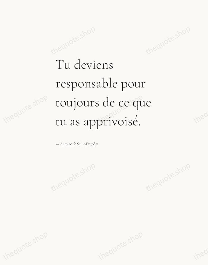 Tu deviens responsable pour toujours de ce que tu as apprivoisé. — Antoine de Saint-Exupéry — Editorial Left Serif