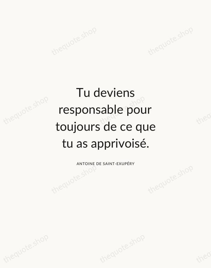 Tu deviens responsable pour toujours de ce que tu as apprivoisé. — Antoine de Saint-Exupéry — Modern Sans Calm