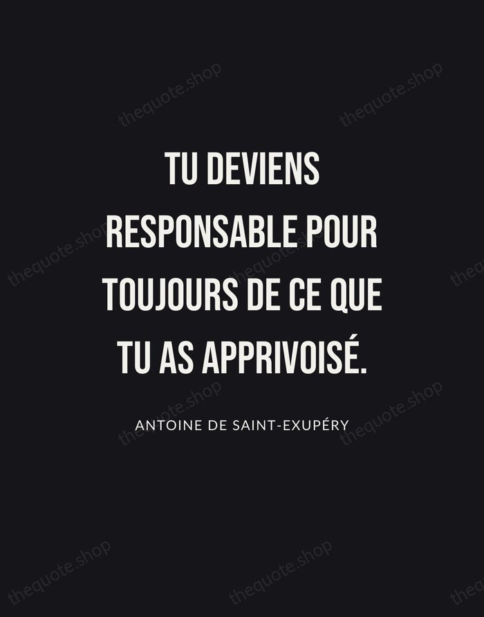 Tu deviens responsable pour toujours de ce que tu as apprivoisé. — Antoine de Saint-Exupéry | Printable Wall Art — Poster Condensed