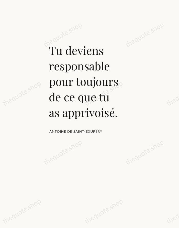 Tu deviens responsable pour toujours de ce que tu as apprivoisé. — Antoine de Saint-Exupéry — Asymmetric Left