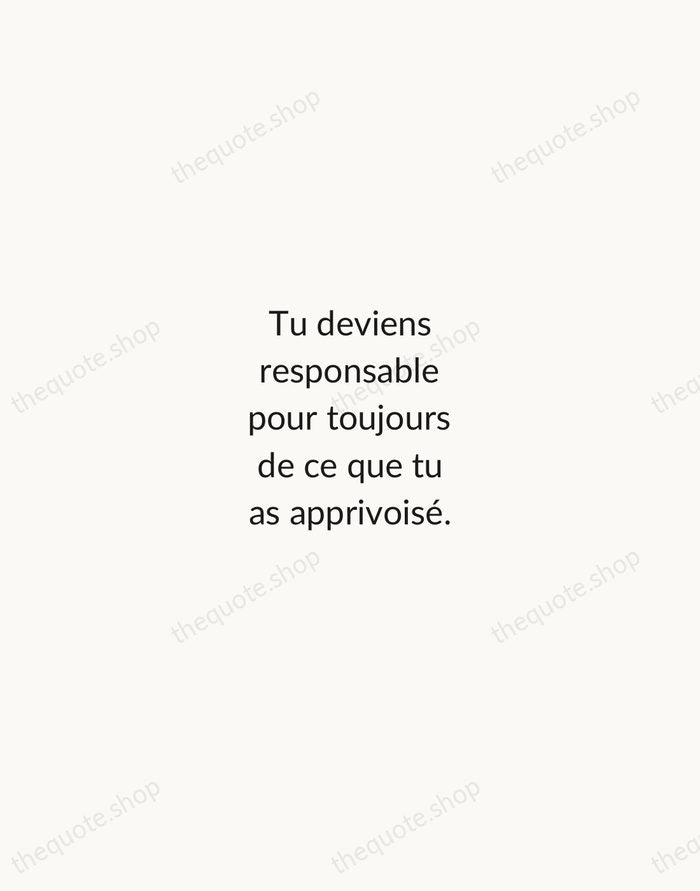 Tu deviens responsable pour toujours de ce que tu as apprivoisé. — Antoine de Saint-Exupéry — Minimal Unsigned