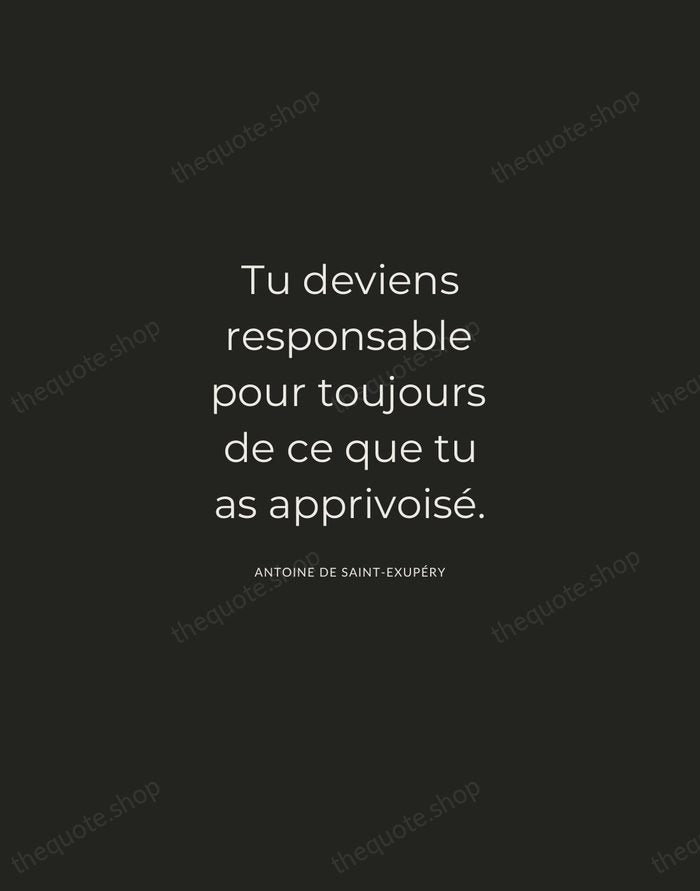Tu deviens responsable pour toujours de ce que tu as apprivoisé. — Antoine de Saint-Exupéry — Charcoal Sans