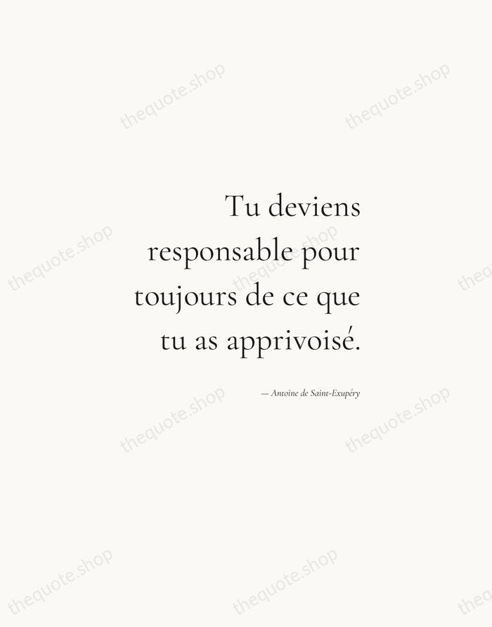 Tu deviens responsable pour toujours de ce que tu as apprivoisé. — Antoine de Saint-Exupéry — Soft Serif Right