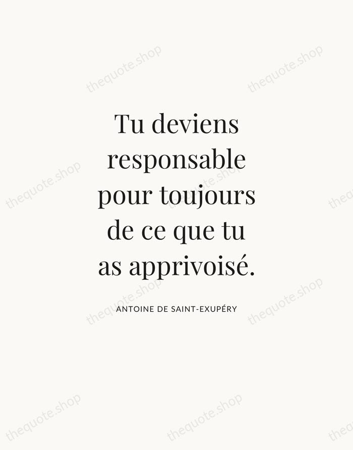 Tu deviens responsable pour toujours de ce que tu as apprivoisé. — Antoine de Saint-Exupéry — Statement Serif