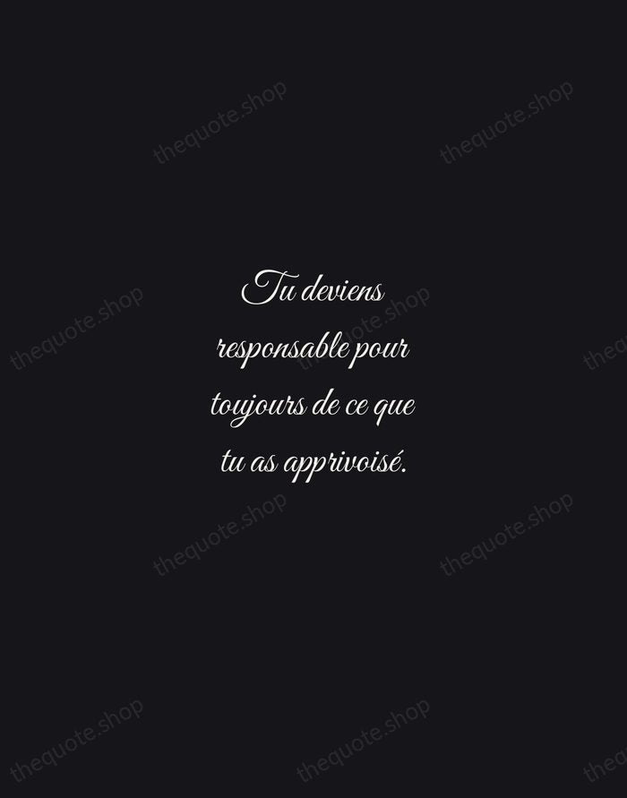 Tu deviens responsable pour toujours de ce que tu as apprivoisé. — Antoine de Saint-Exupéry — Night Script