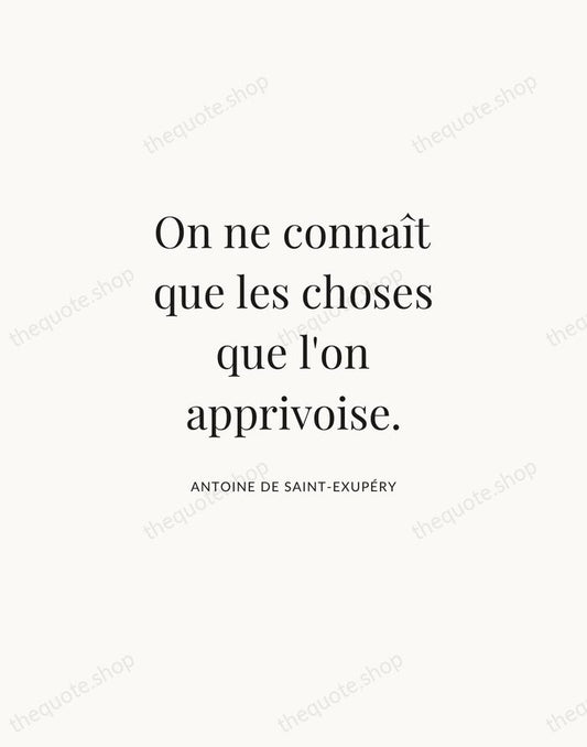 On ne connaît que les choses que l'on apprivoise. — Antoine de Saint-Exupéry | Printable Wall Art — Atelier Serif
