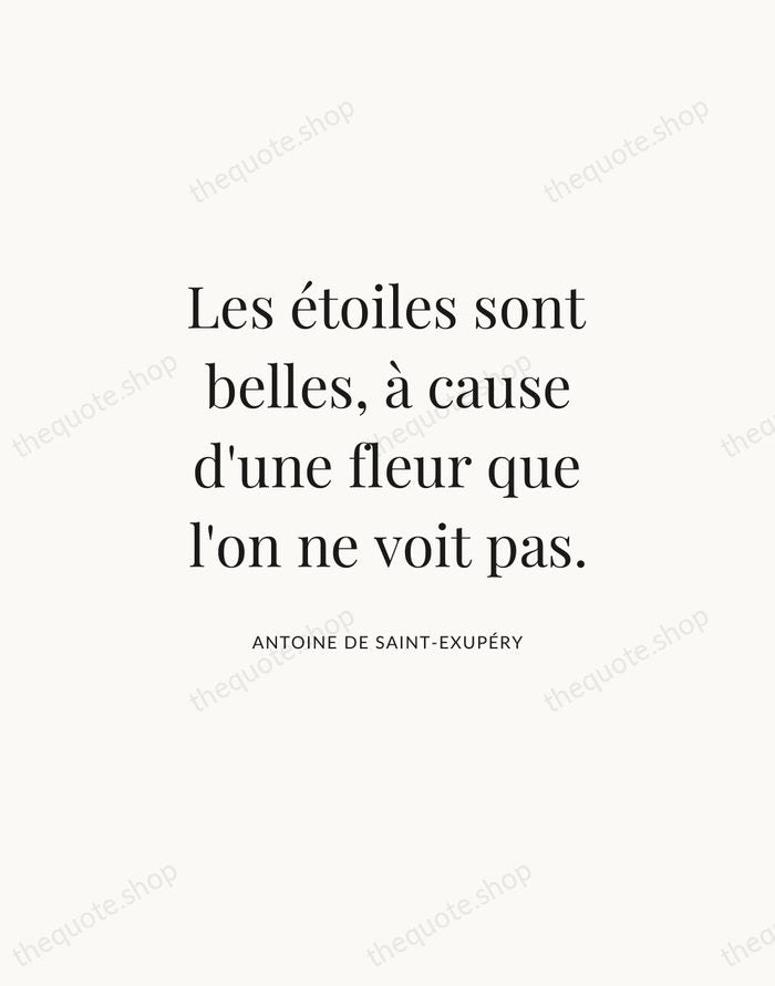 Les étoiles sont belles, à cause d'une fleur que l'on ne voit… — Antoine de Saint-Exupéry | Printable Wall Art — Atelier Serif