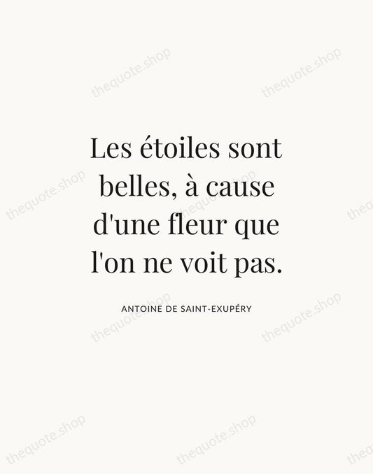 Les étoiles sont belles, à cause d'une fleur que l'on ne voit… — Antoine de Saint-Exupéry | Printable Wall Art — Atelier Serif