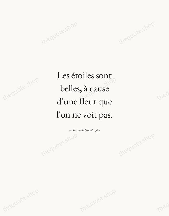 Les étoiles sont belles, à cause d'une fleur que l'on ne voit… — Antoine de Saint-Exupéry — Quiet Garamond