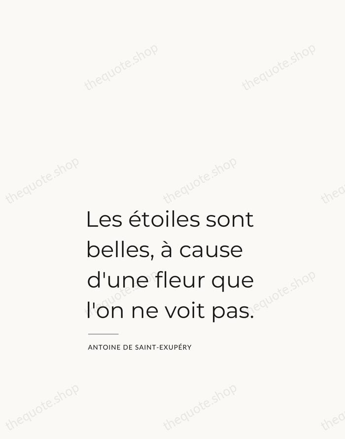 Les étoiles sont belles, à cause d'une fleur que l'on ne voit… — Antoine de Saint-Exupéry — Studio Left