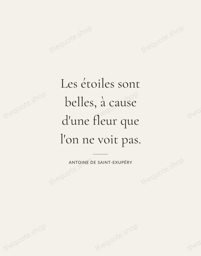 Les étoiles sont belles, à cause d'une fleur que l'on ne voit… — Antoine de Saint-Exupéry — Gallery Rule