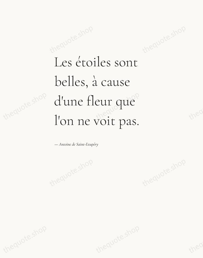 Les étoiles sont belles, à cause d'une fleur que l'on ne voit… — Antoine de Saint-Exupéry — Editorial Left Serif