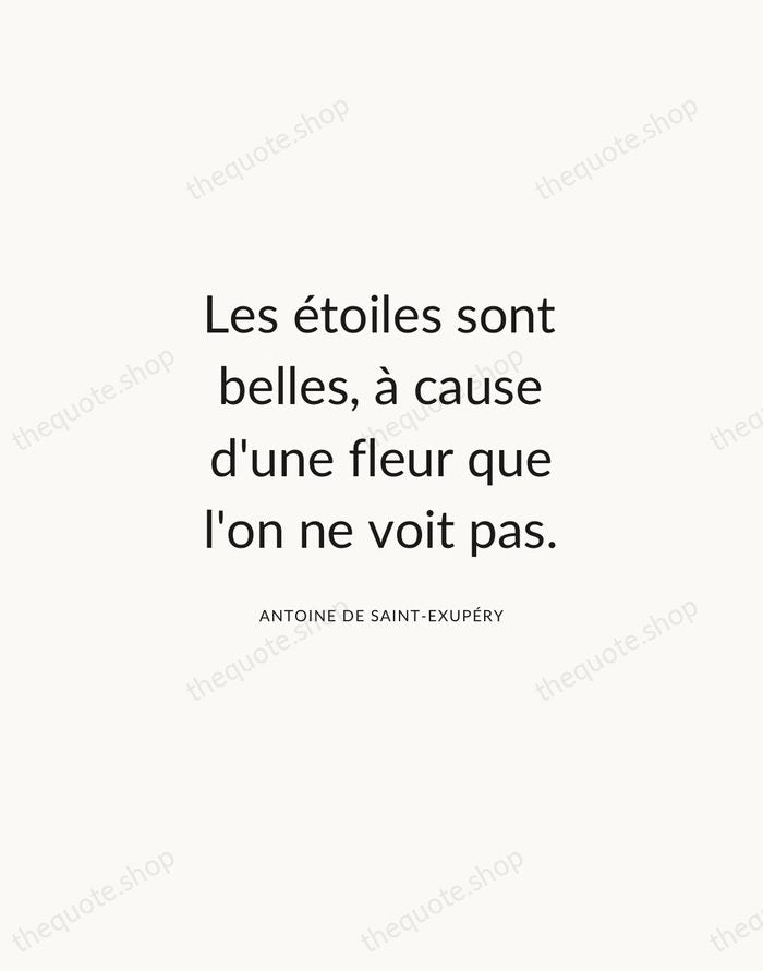 Les étoiles sont belles, à cause d'une fleur que l'on ne voit… — Antoine de Saint-Exupéry — Modern Sans Calm