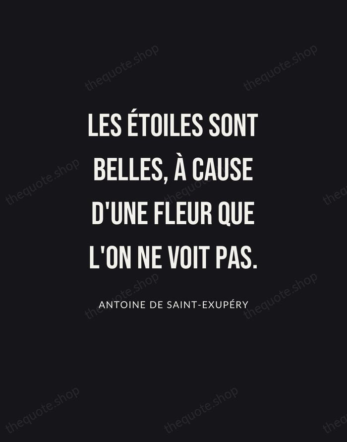 Les étoiles sont belles, à cause d'une fleur que l'on ne voit… — Antoine de Saint-Exupéry | Printable Wall Art — Poster Condensed