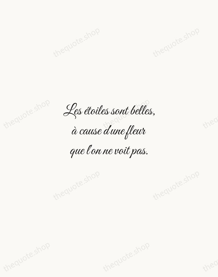 Les étoiles sont belles, à cause d'une fleur que l'on ne voit… — Antoine de Saint-Exupéry — Script Whisper
