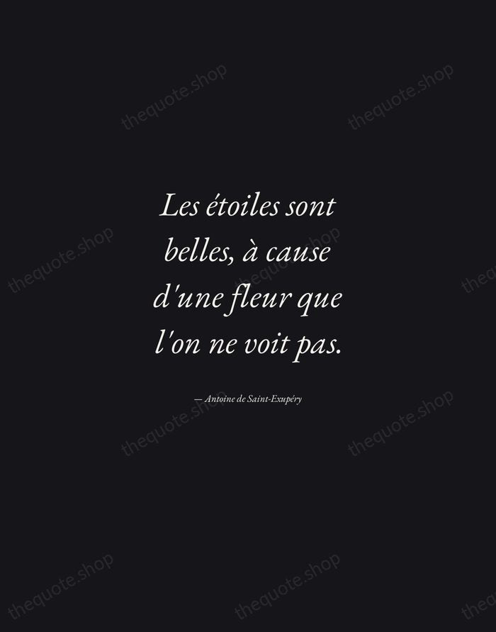 Les étoiles sont belles, à cause d'une fleur que l'on ne voit… — Antoine de Saint-Exupéry — Manuscript Italic