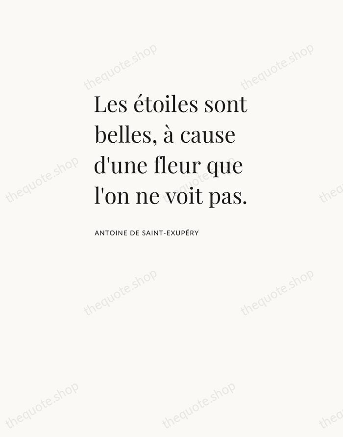 Les étoiles sont belles, à cause d'une fleur que l'on ne voit… — Antoine de Saint-Exupéry — Asymmetric Left