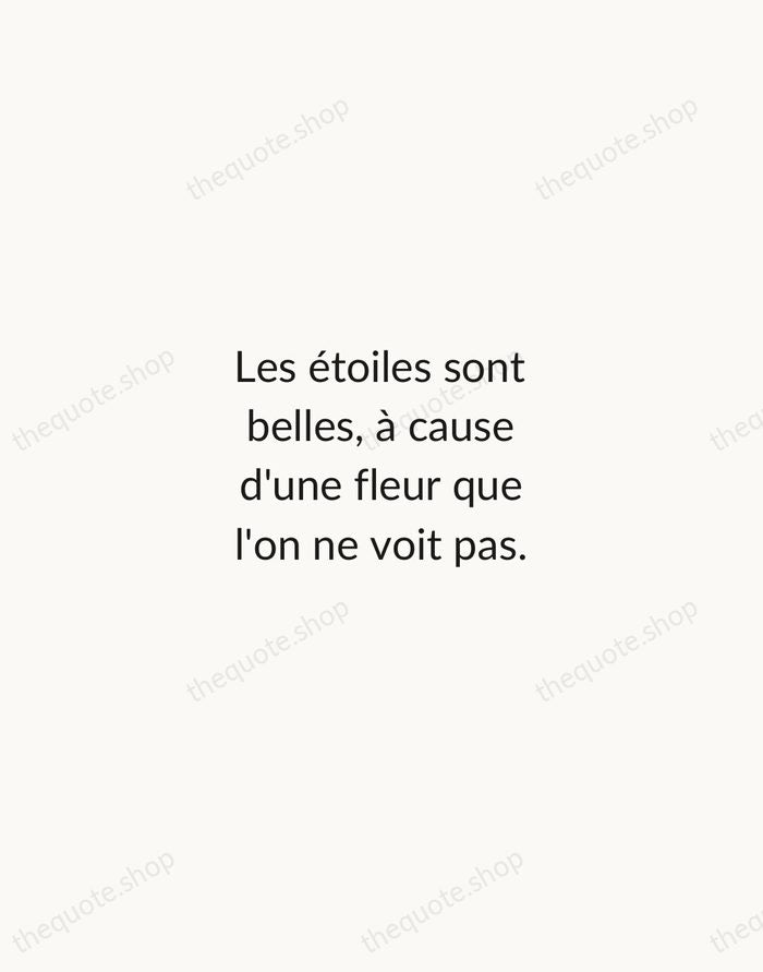Les étoiles sont belles, à cause d'une fleur que l'on ne voit… — Antoine de Saint-Exupéry — Minimal Unsigned