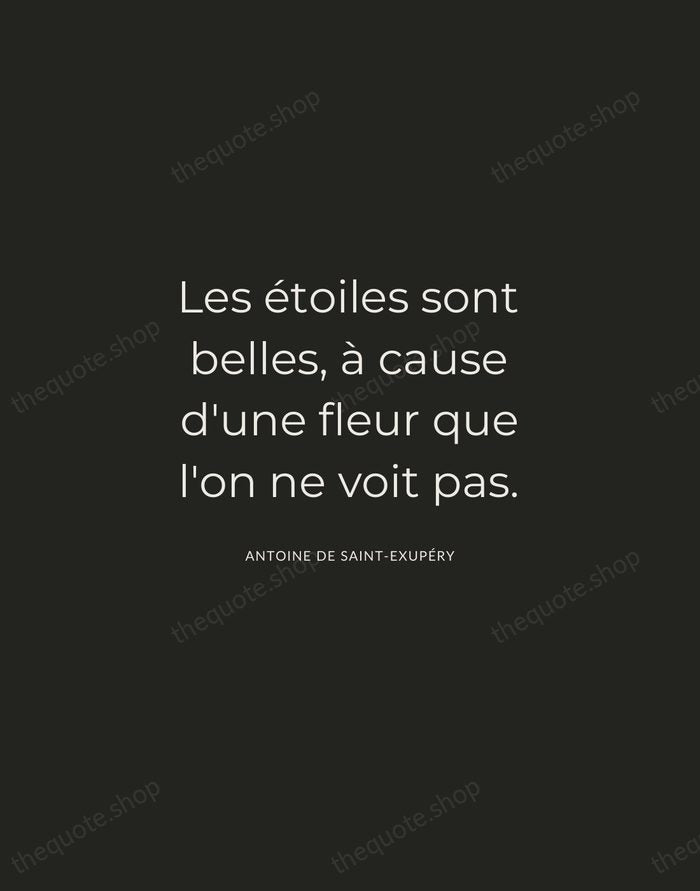 Les étoiles sont belles, à cause d'une fleur que l'on ne voit… — Antoine de Saint-Exupéry — Charcoal Sans