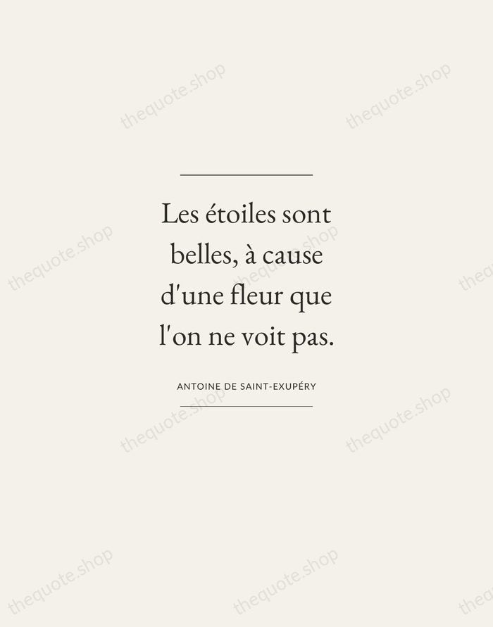 Les étoiles sont belles, à cause d'une fleur que l'on ne voit… — Antoine de Saint-Exupéry — Gallery Frame