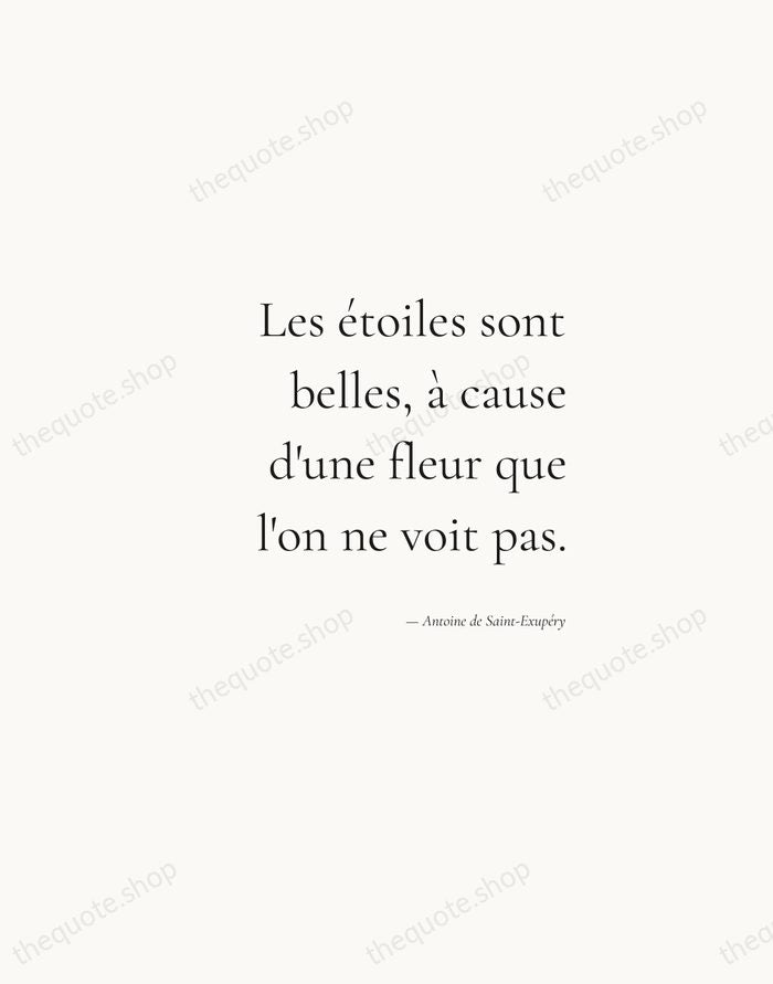 Les étoiles sont belles, à cause d'une fleur que l'on ne voit… — Antoine de Saint-Exupéry — Soft Serif Right