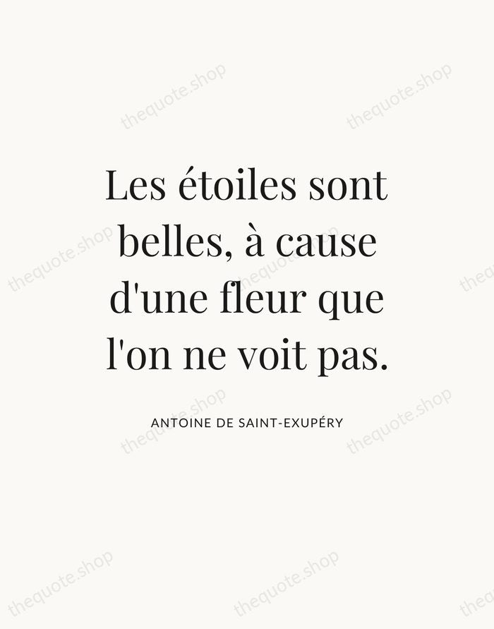 Les étoiles sont belles, à cause d'une fleur que l'on ne voit… — Antoine de Saint-Exupéry — Statement Serif