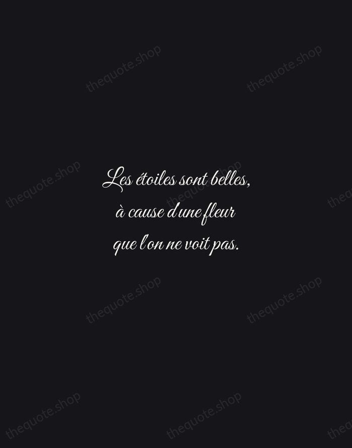 Les étoiles sont belles, à cause d'une fleur que l'on ne voit… — Antoine de Saint-Exupéry — Night Script