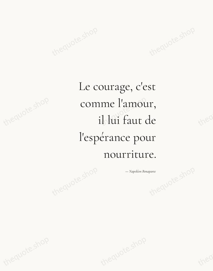 Le courage, c'est comme l'amour, il lui faut de l'espérance pour nourriture. — Napoléon Bonaparte — Soft Serif Right