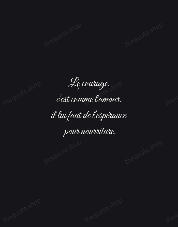Le courage, c'est comme l'amour, il lui faut de l'espérance pour nourriture. — Napoléon Bonaparte — Night Script