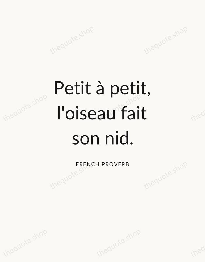Petit à petit, l'oiseau fait son nid. — French Proverb — Modern Sans Calm