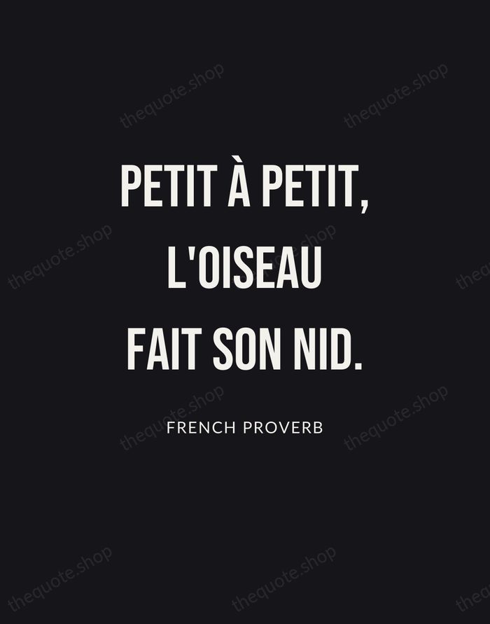 Petit à petit, l'oiseau fait son nid. — French Proverb | Printable Wall Art — Poster Condensed
