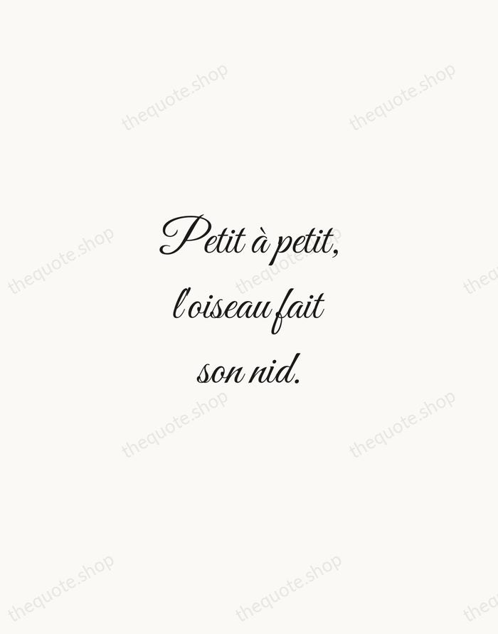 Petit à petit, l'oiseau fait son nid. — French Proverb — Script Whisper