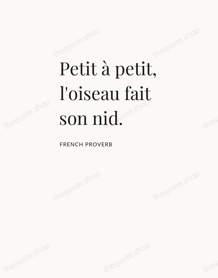 Petit à petit, l'oiseau fait son nid. — French Proverb — Asymmetric Left