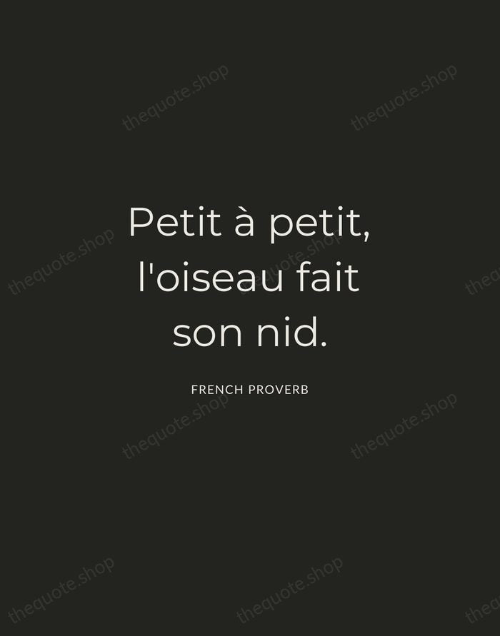 Petit à petit, l'oiseau fait son nid. — French Proverb — Charcoal Sans