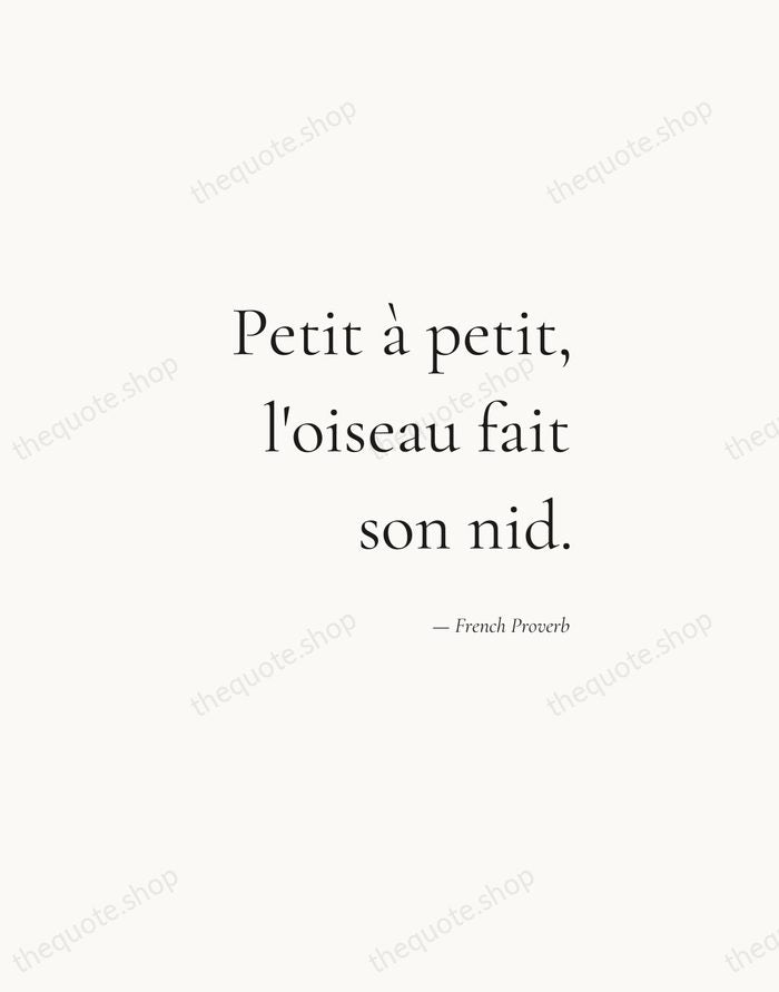 Petit à petit, l'oiseau fait son nid. — French Proverb — Soft Serif Right