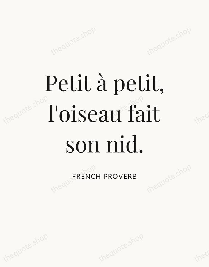 Petit à petit, l'oiseau fait son nid. — French Proverb — Statement Serif