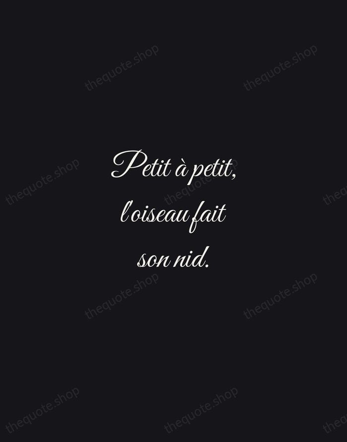 Petit à petit, l'oiseau fait son nid. — French Proverb — Night Script