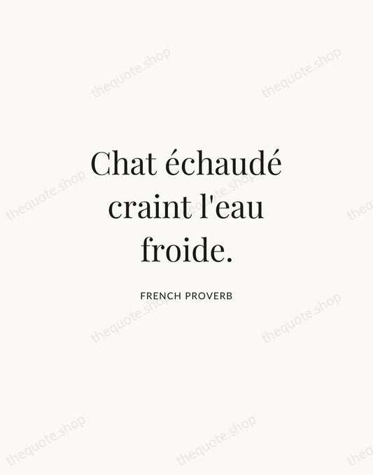 Chat échaudé craint l'eau froide. — French Proverb | Printable Wall Art — Atelier Serif