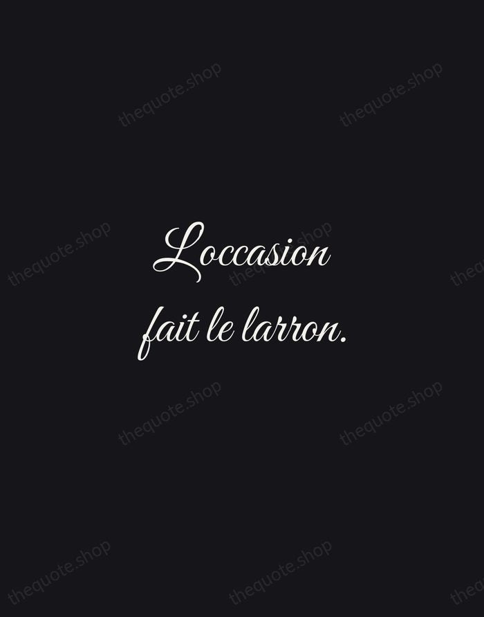 L'occasion fait le larron. — French Proverb — Night Script